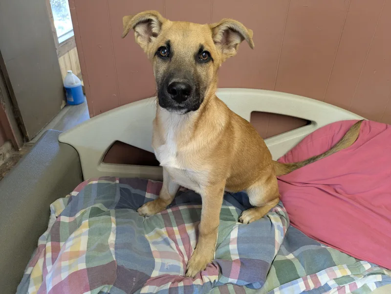 Its Bama! thumbnail 4