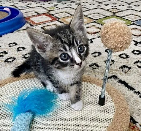 Reed  Bonded With thumbnail 2