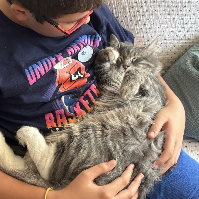 Winston The Great thumbnail 2