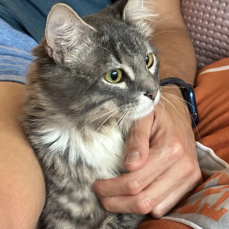 Winston The Great thumbnail 3