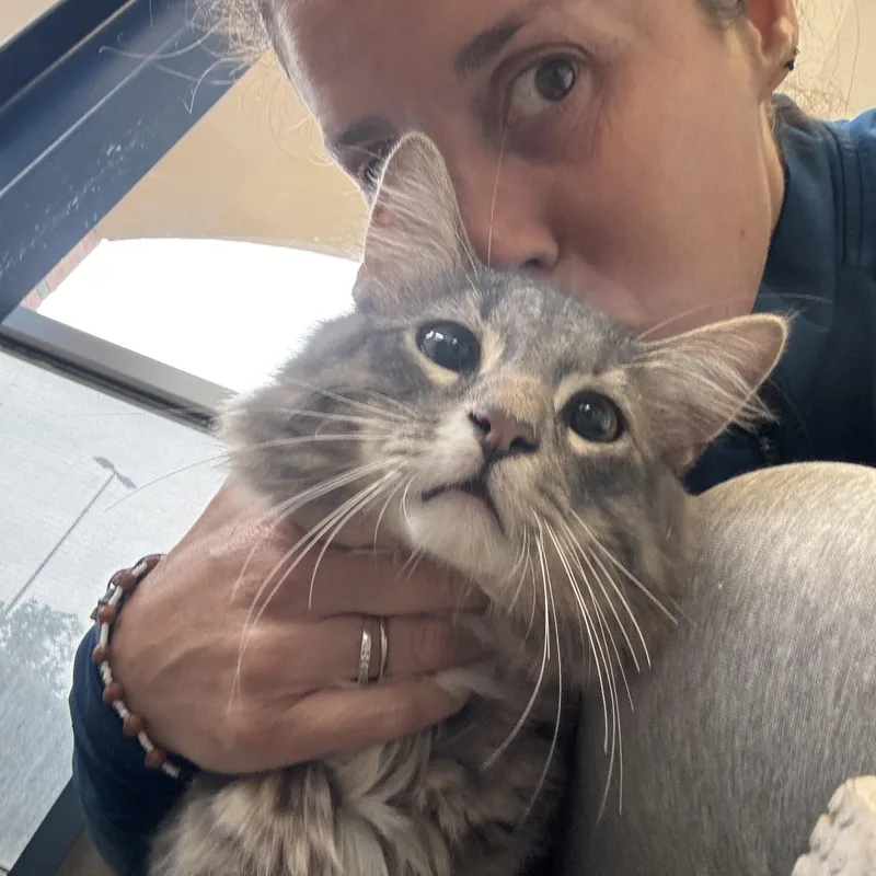 Winston The Great thumbnail 6