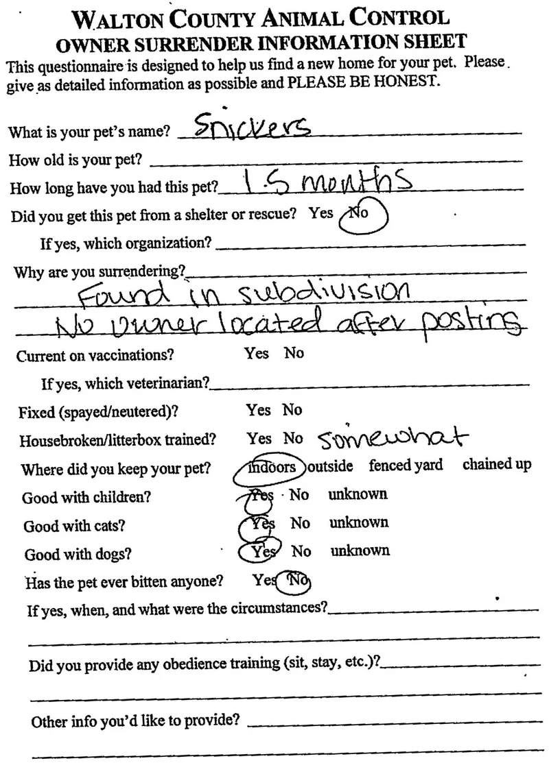 Snickers thumbnail 2