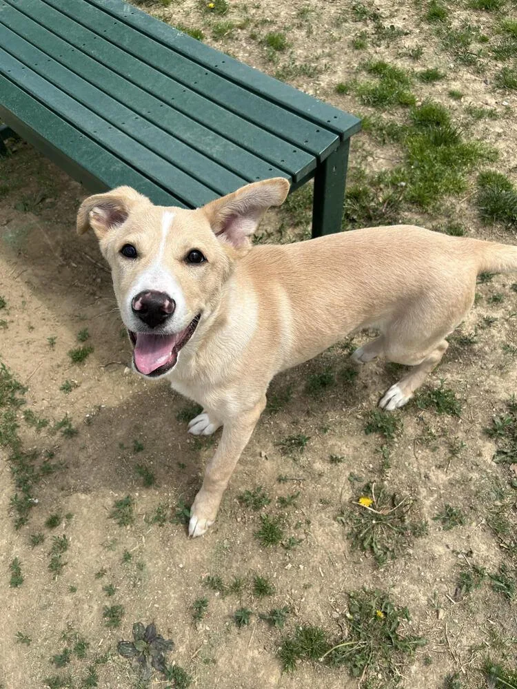 Dusty Dan thumbnail 3