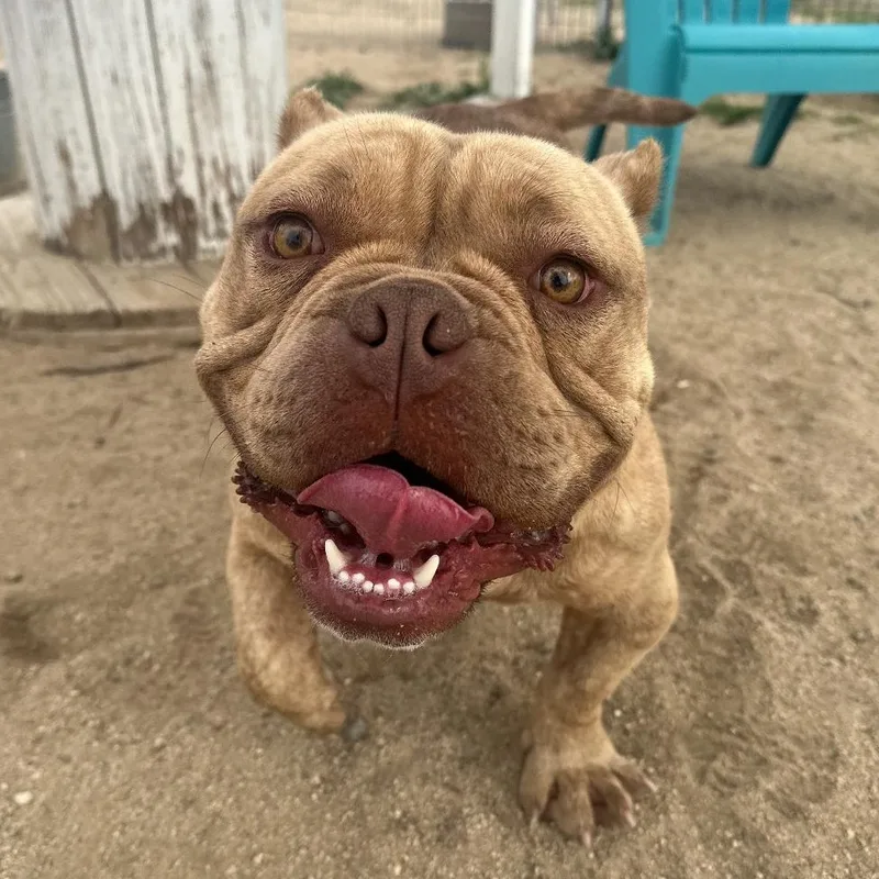 Motto Motto thumbnail 4