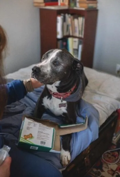 Johnston thumbnail 3