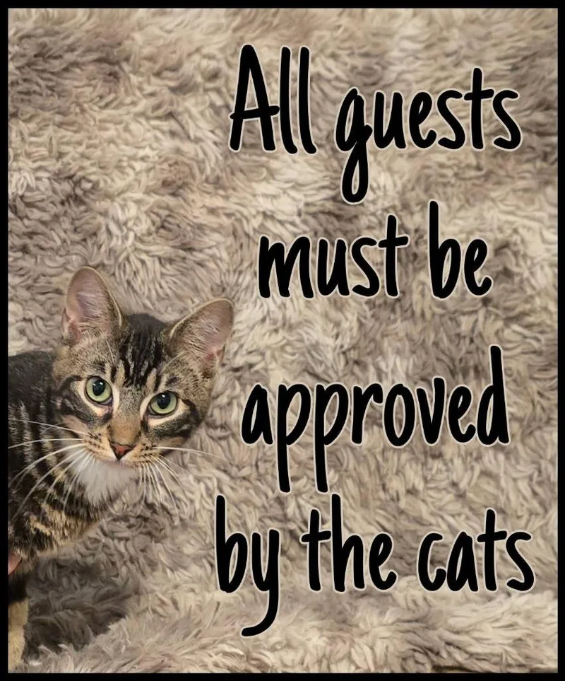 Squirrel Steinman thumbnail 3