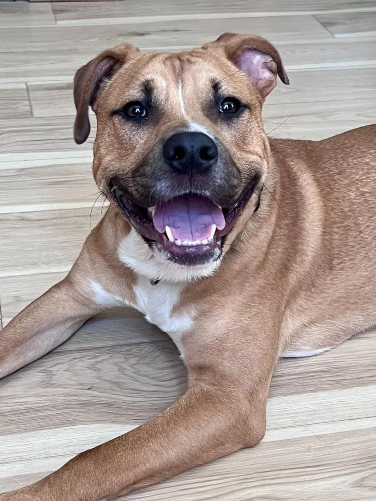 Chance Fka Yoyo thumbnail 2