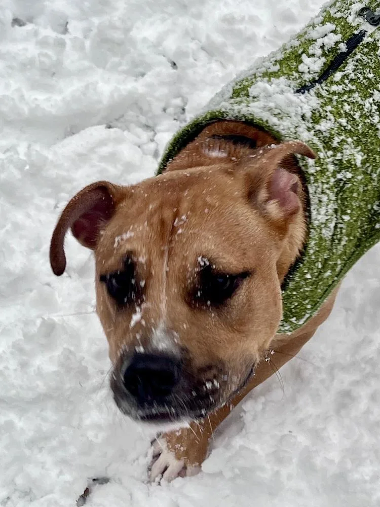 Chance Fka Yoyo thumbnail 5