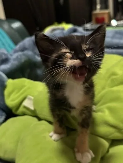 Sally thumbnail 3