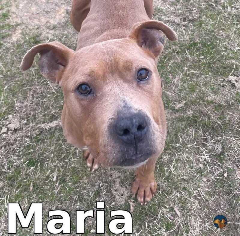 Maria thumbnail 2