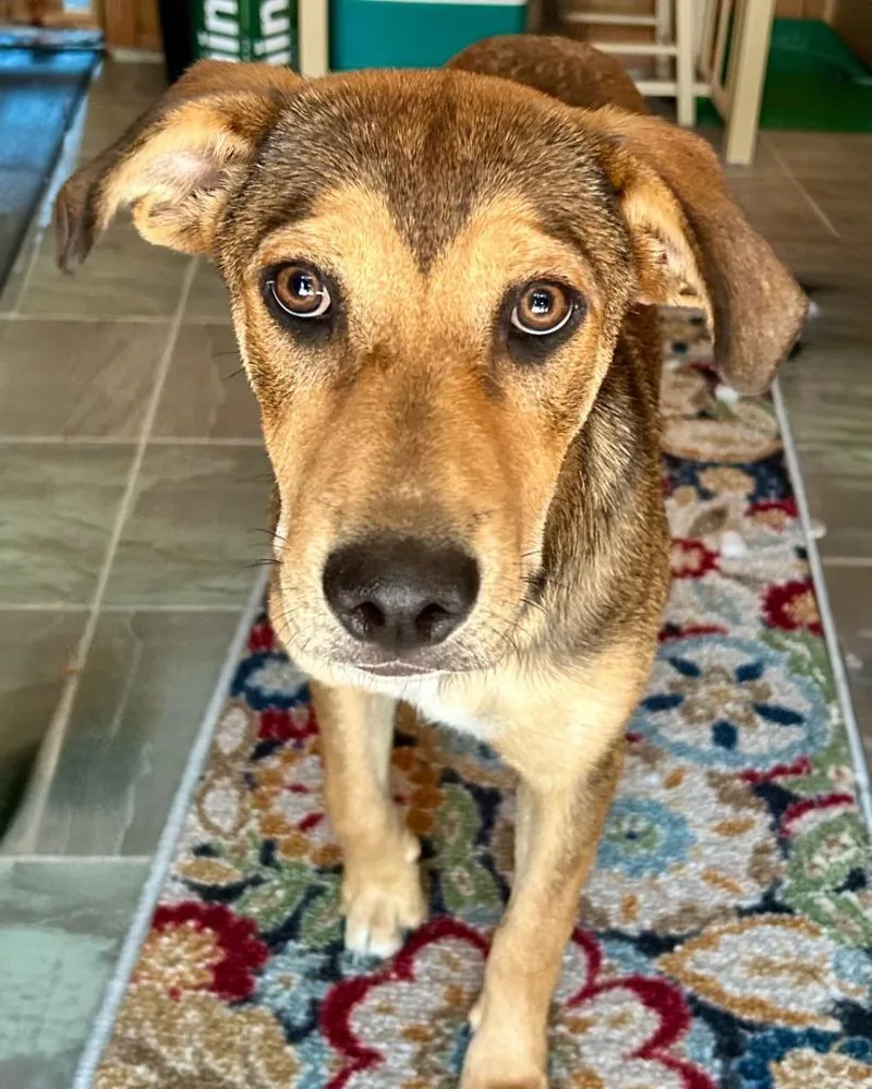 Bubba Kane thumbnail 2