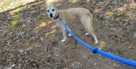 Maggie thumbnail 3