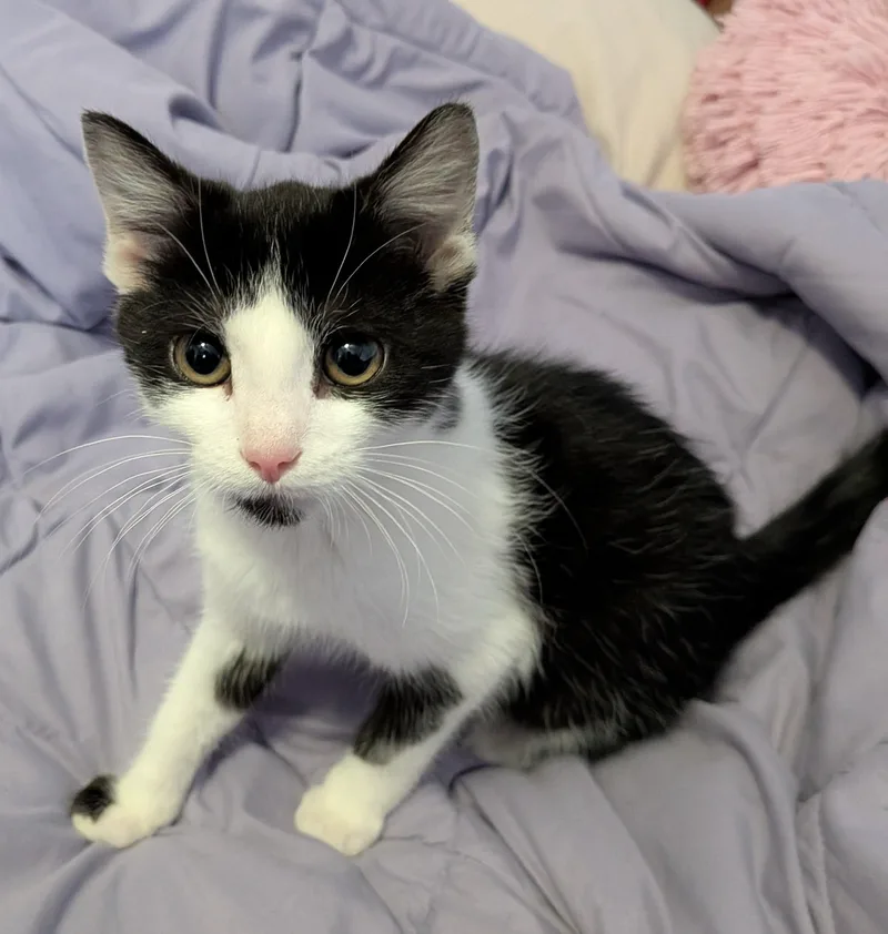 Rigatoni thumbnail 5