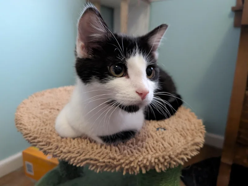 Rigatoni thumbnail 6