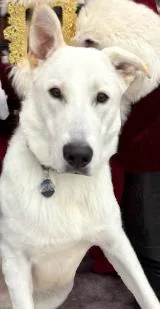 Duke Dude Nka Doug thumbnail 2