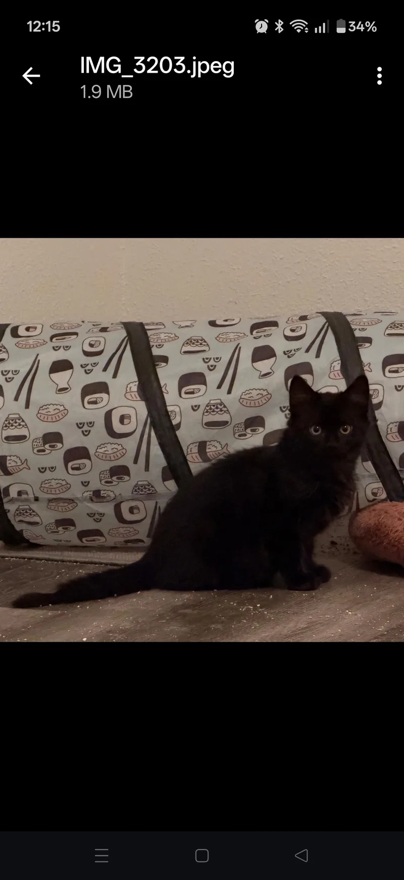 Habanero thumbnail 3