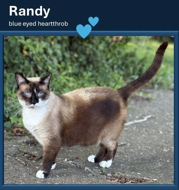 Randy thumbnail 3