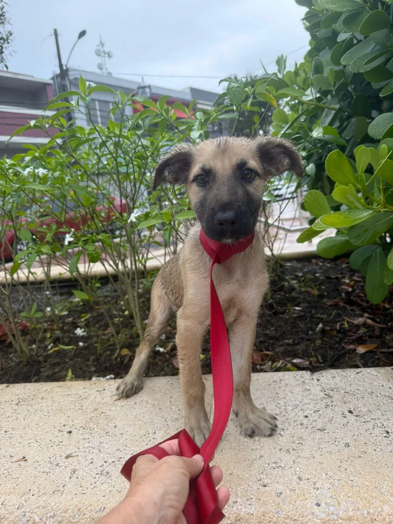 Sarah  So Sweet!! thumbnail 2