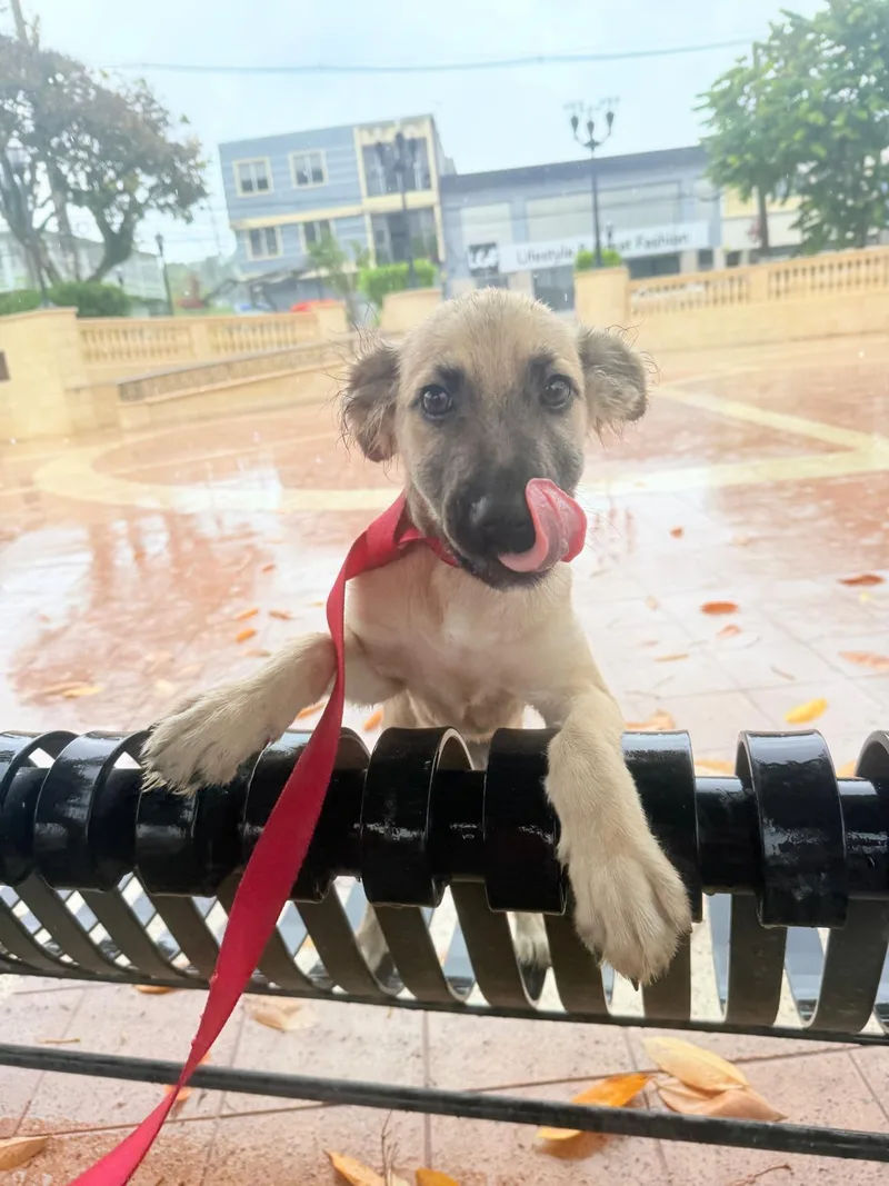 Sarah  So Sweet!! thumbnail 3