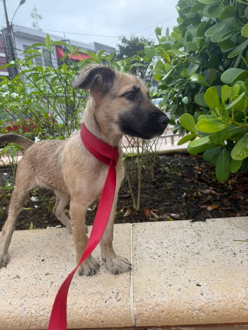 Sarah  So Sweet!! thumbnail 4