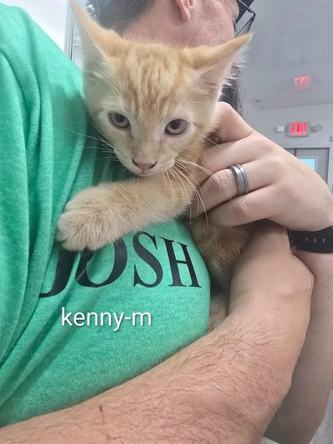 Kenny thumbnail 2