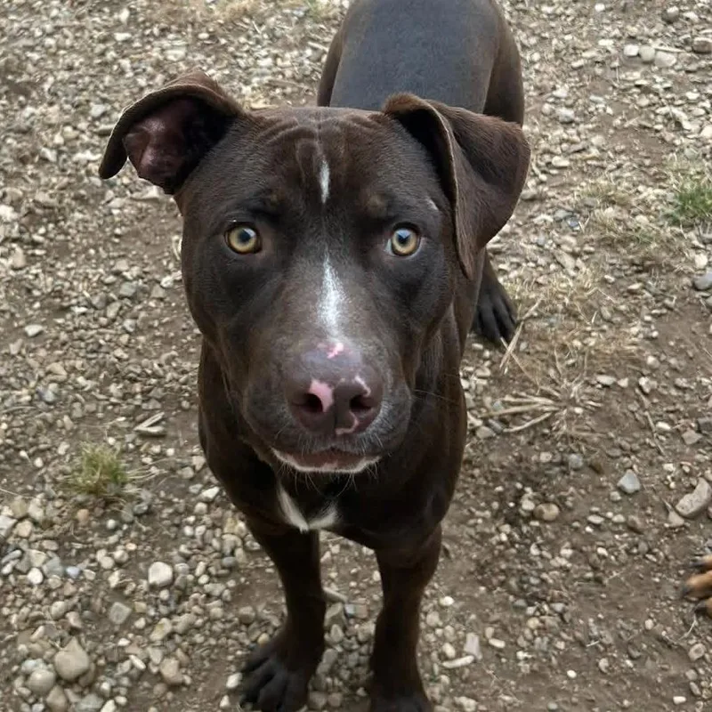 Maverick thumbnail 2