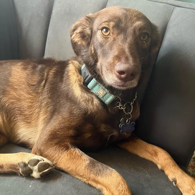 Osita