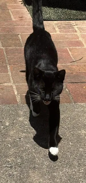 Tux