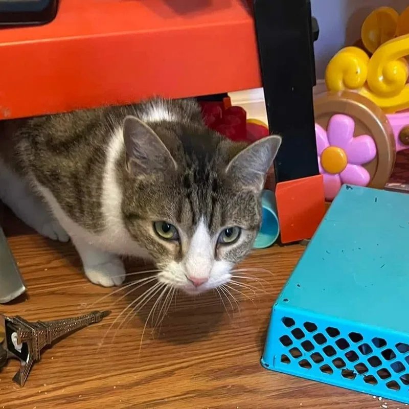 Philly Girl thumbnail 2