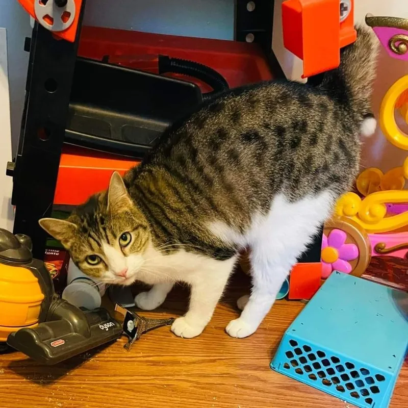 Philly Girl thumbnail 4