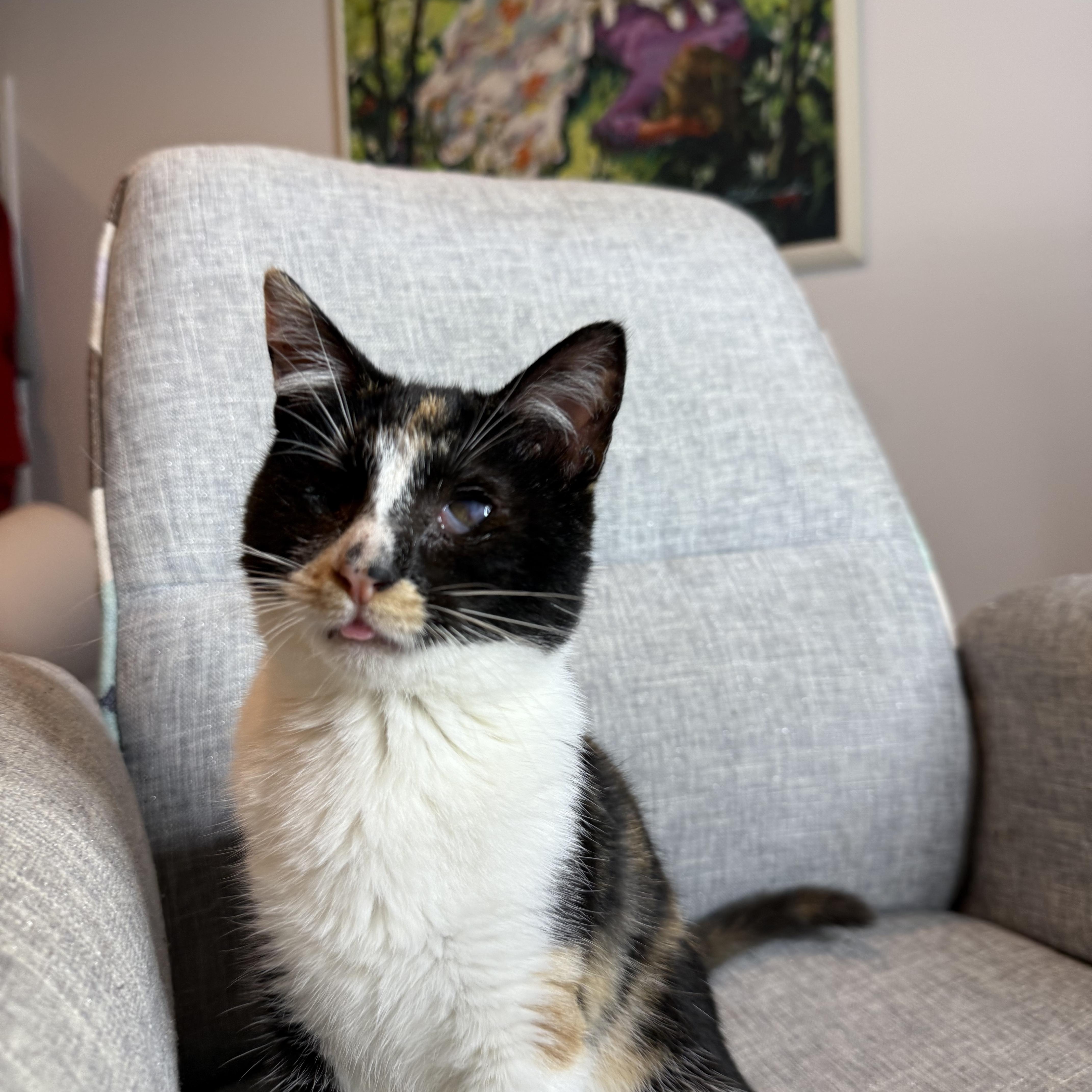 Punky Brewster thumbnail 2