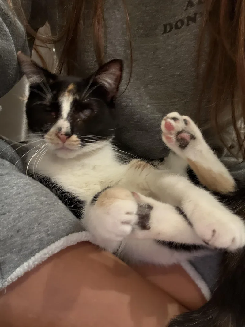 Punky Brewster thumbnail 4