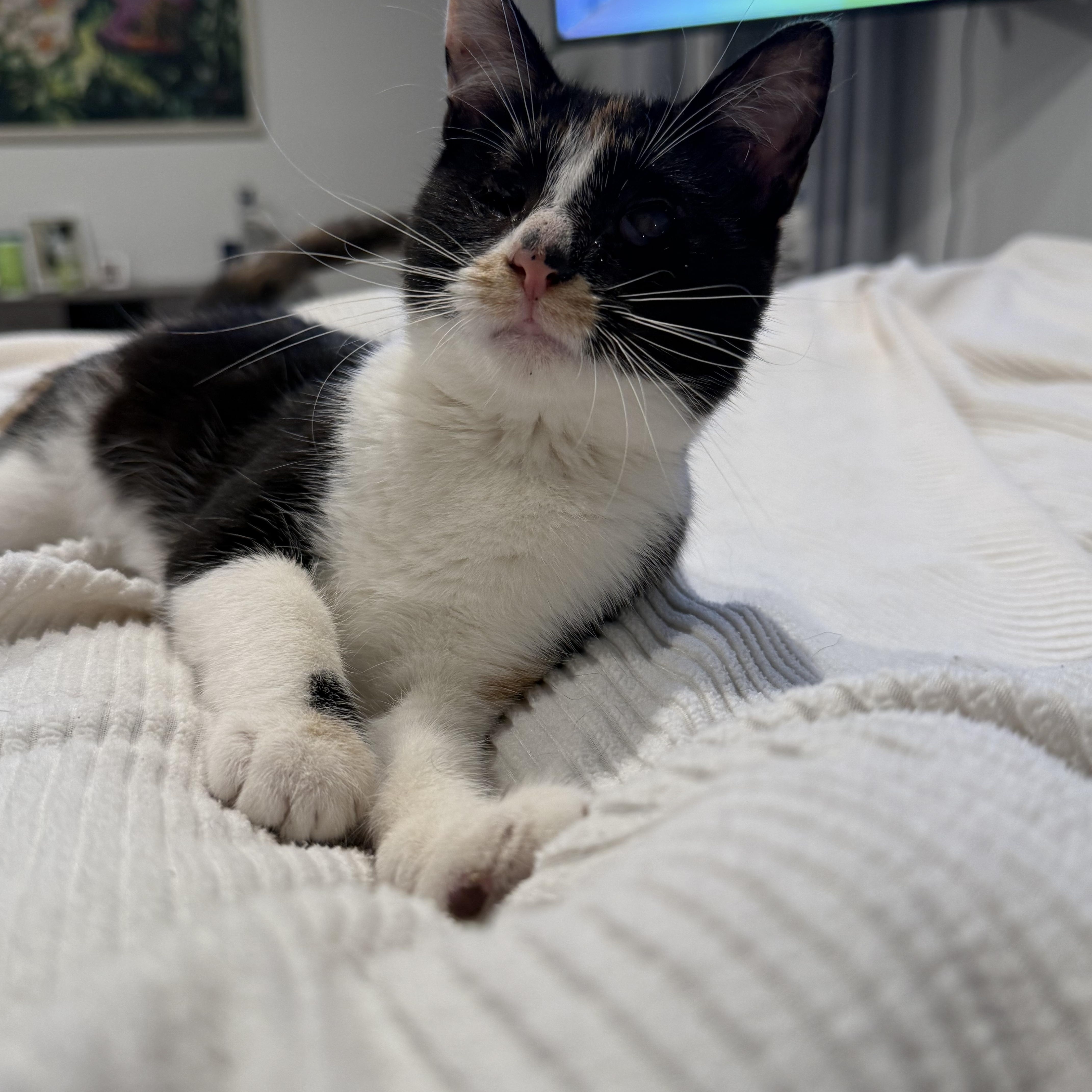 Punky Brewster thumbnail 5