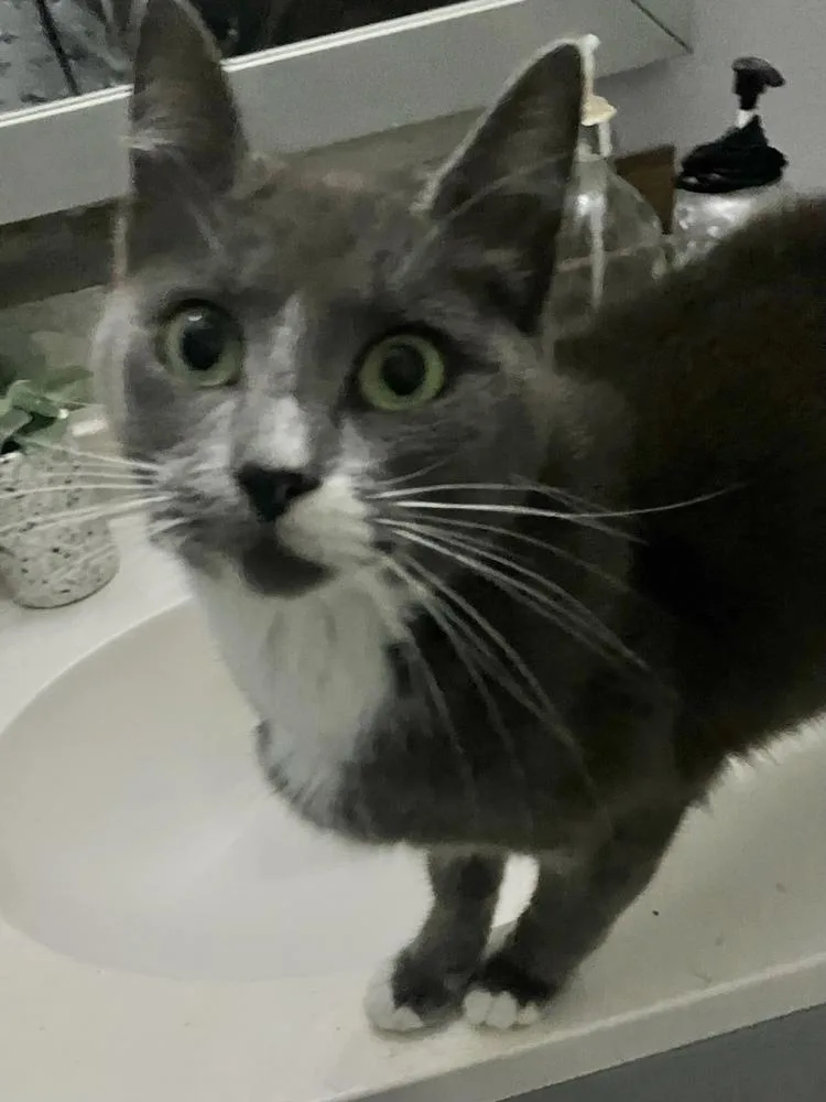 Postmark Special Needs 