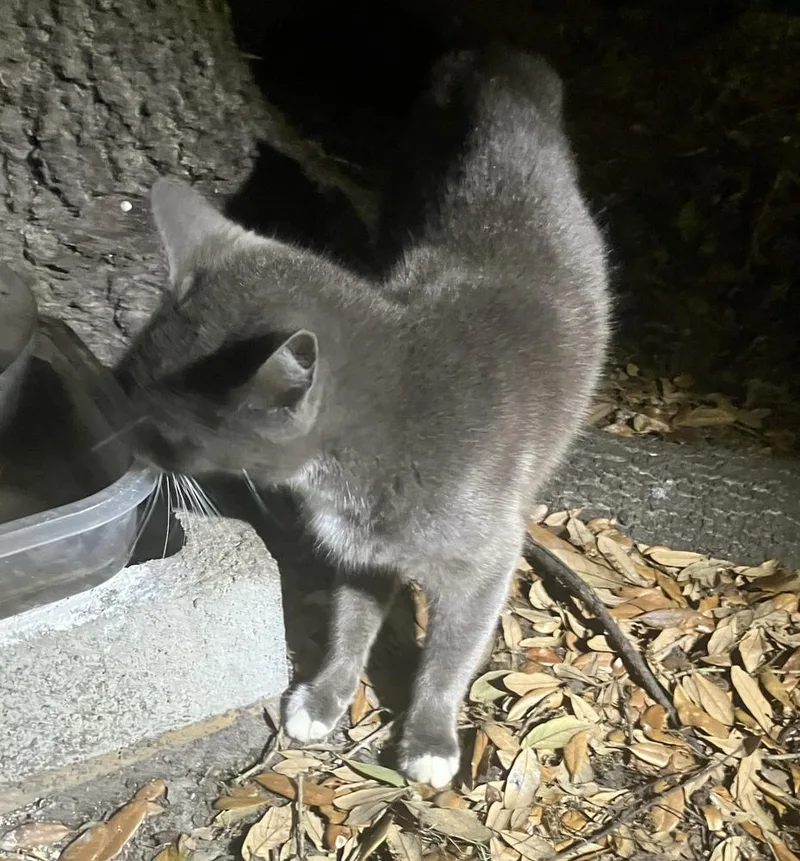 Postmark Special Needs  thumbnail 2