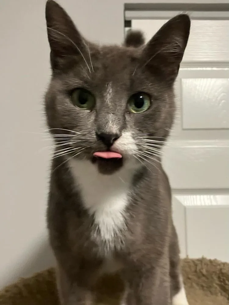 Postmark Special Needs  thumbnail 4