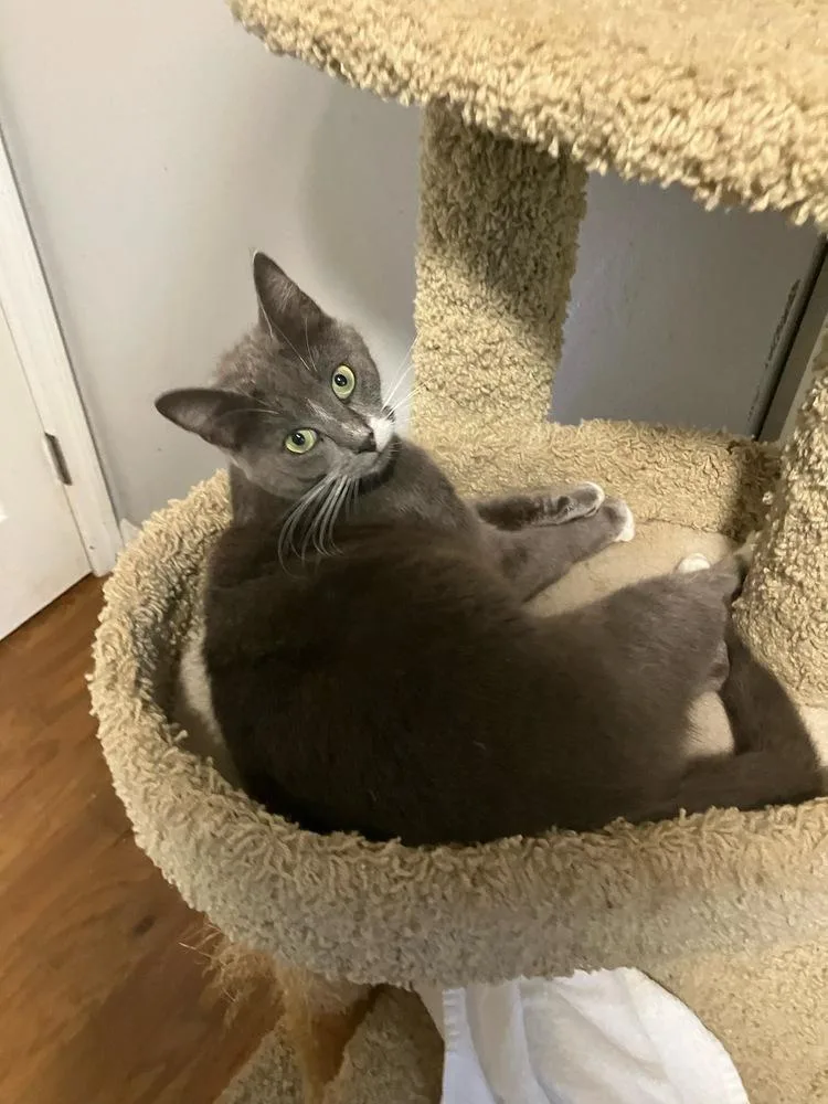 Postmark Special Needs  thumbnail 5