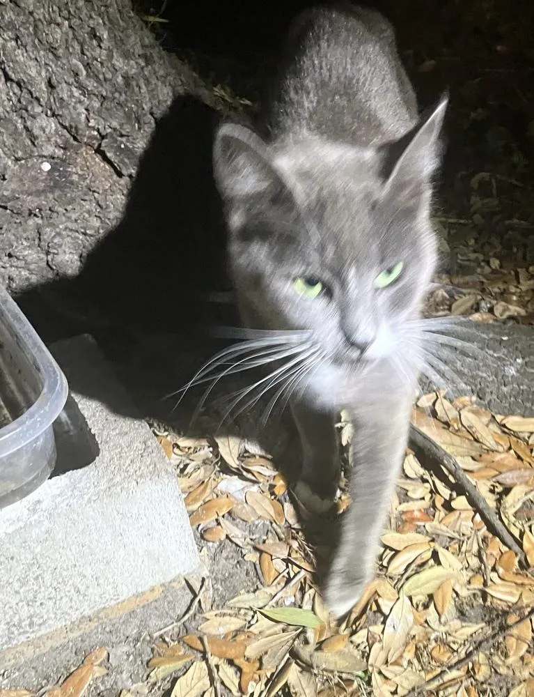 Postmark Special Needs  thumbnail 6