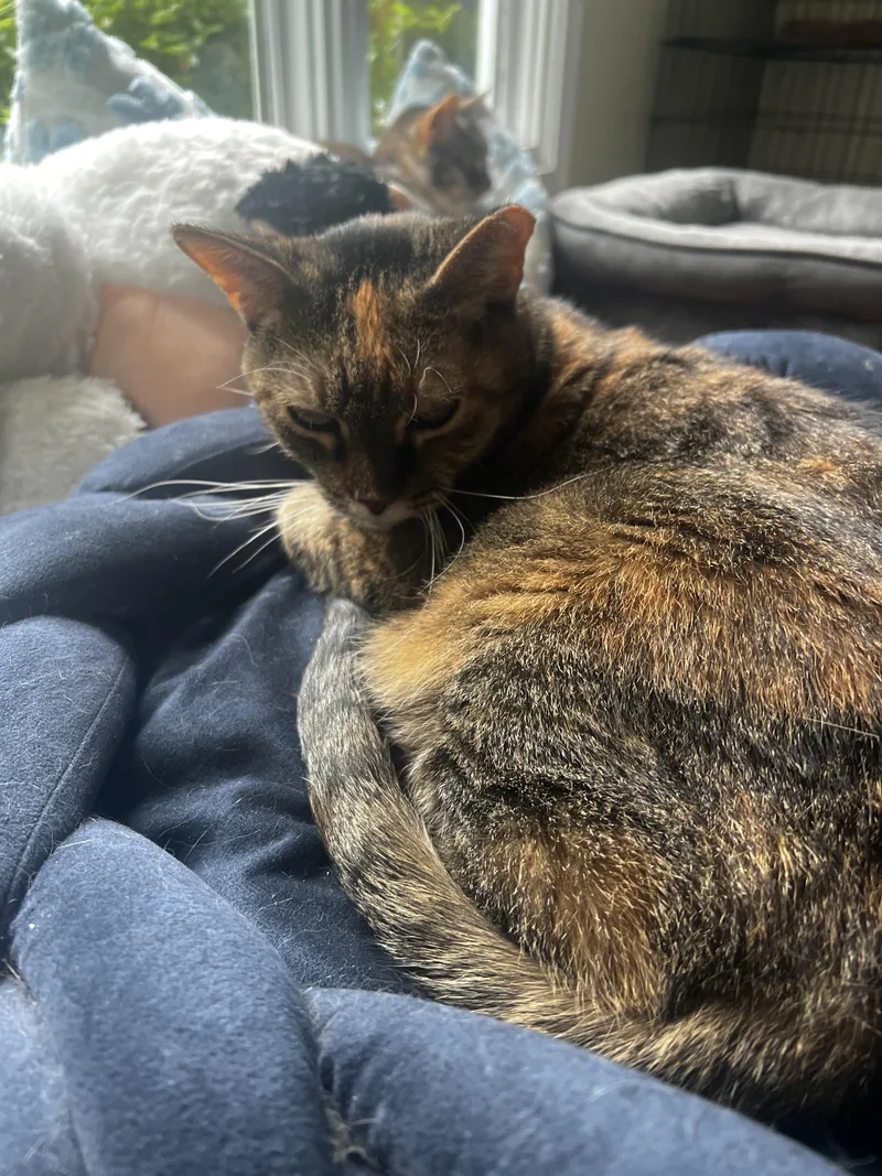 Ellie