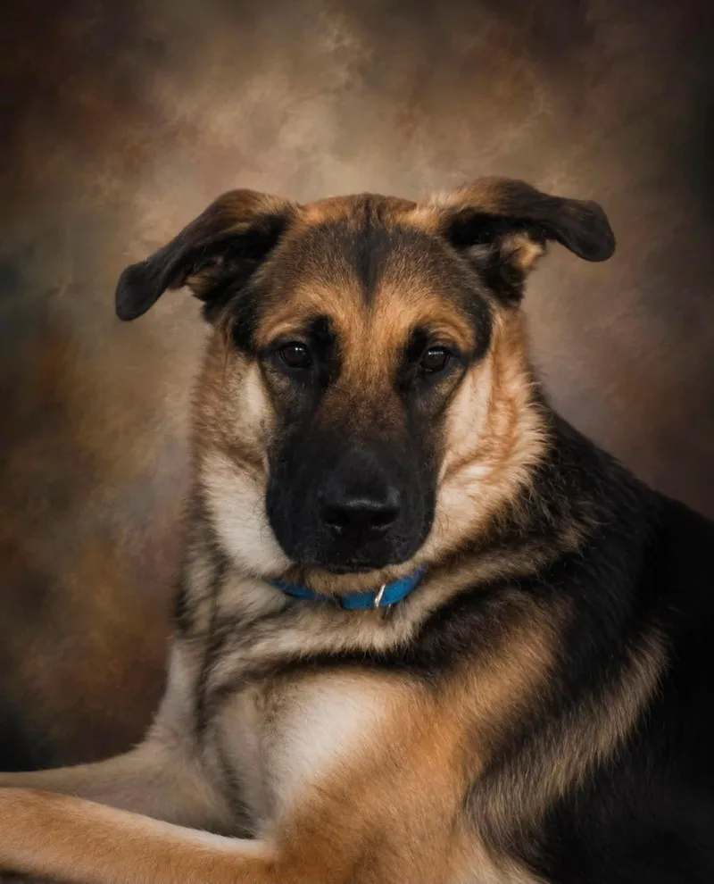 Murphy