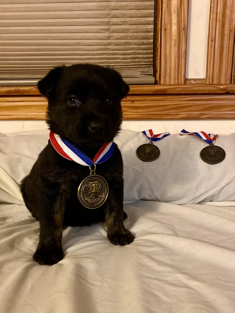 Chloe Kim thumbnail 2