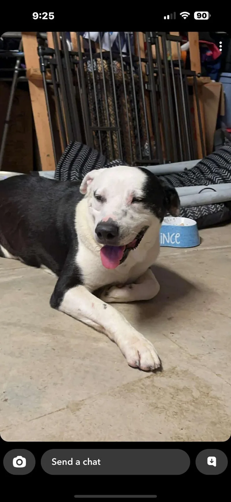 Jake Aka Wiggle Wobbles thumbnail 2