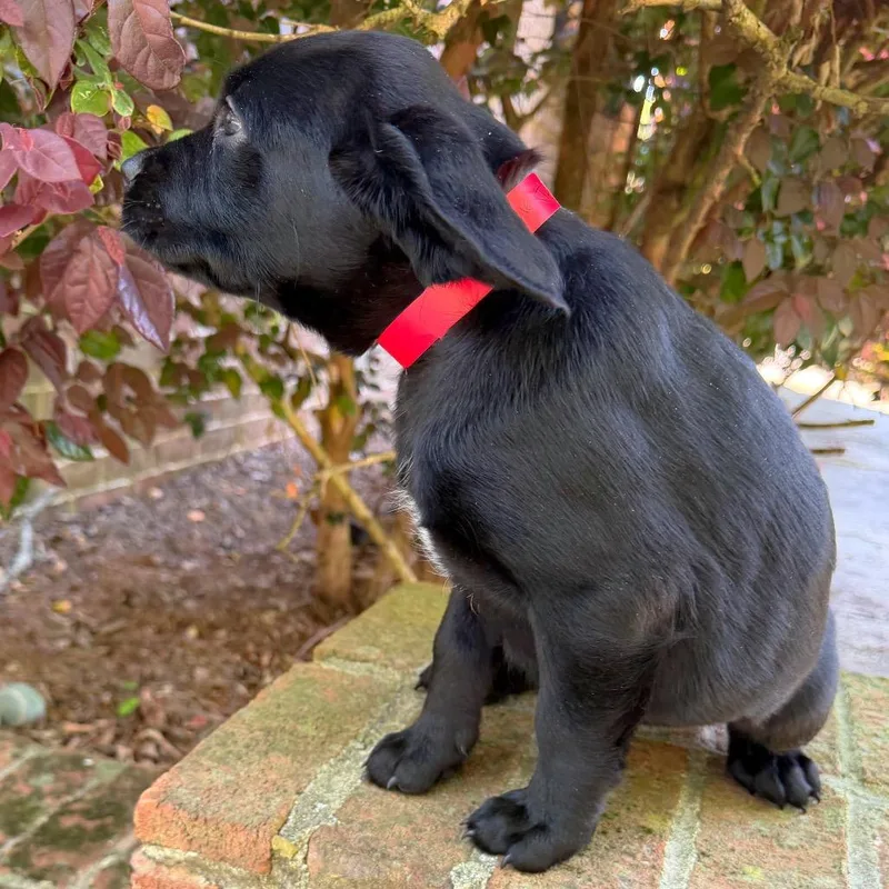 Billie Jean thumbnail 2