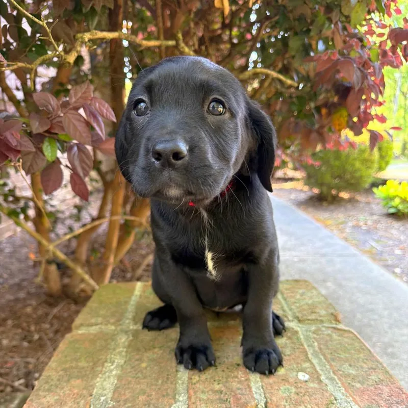 Billie Jean thumbnail 3