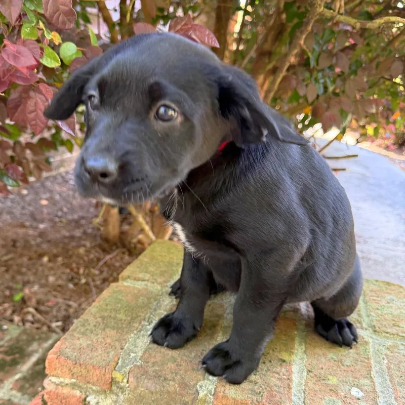 Billie Jean thumbnail 5