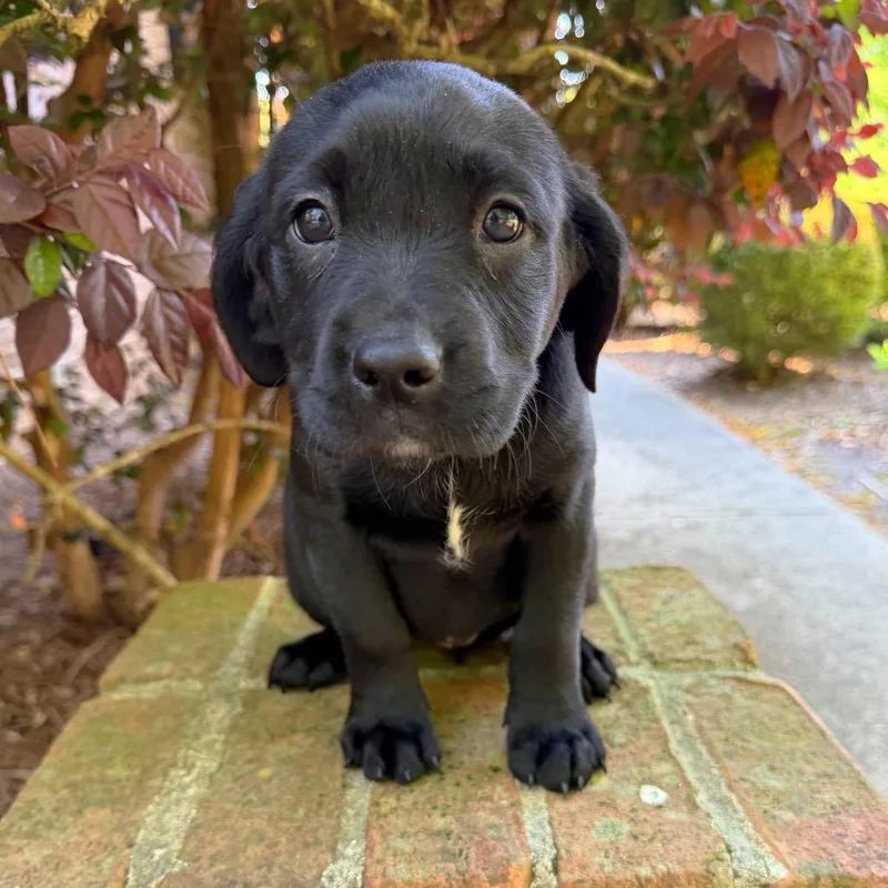 Billie Jean thumbnail 6