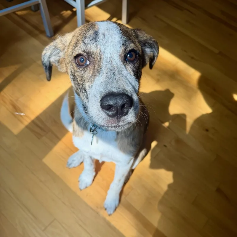 Cliff thumbnail 6