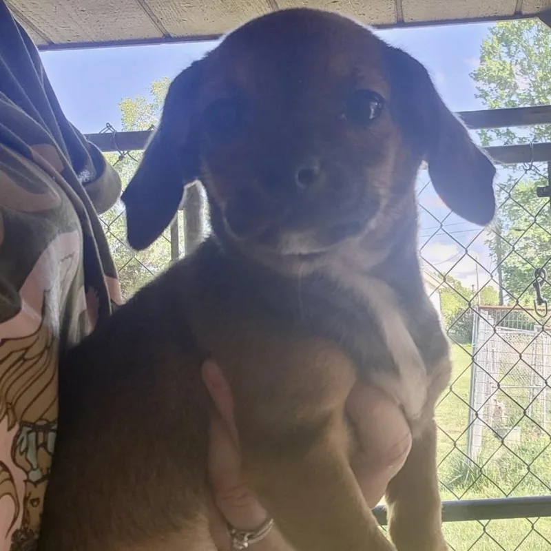 Aad Upcoming Arrival! 