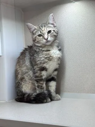 Tina