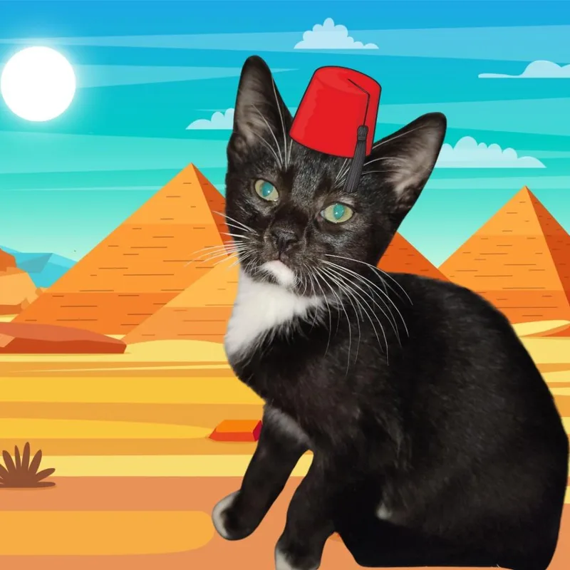 Zeppelin thumbnail 2